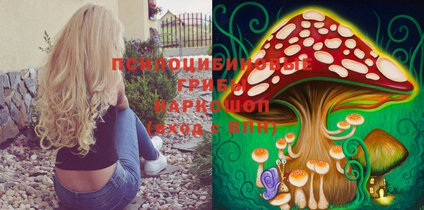 первитин Козельск